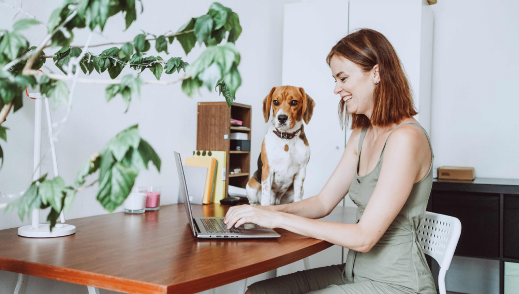 8 Unknown Work From Home Jobs For Beginners (2023) — Always Hiring