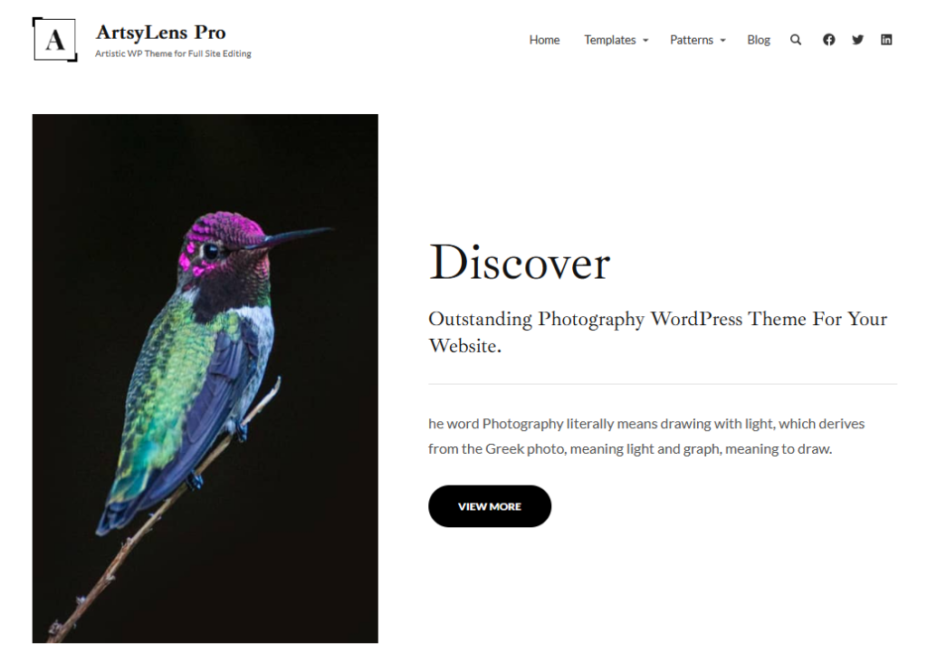 wordpress themes for artists and photo galleries