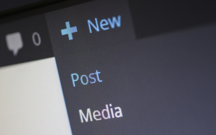 best wordpress course.