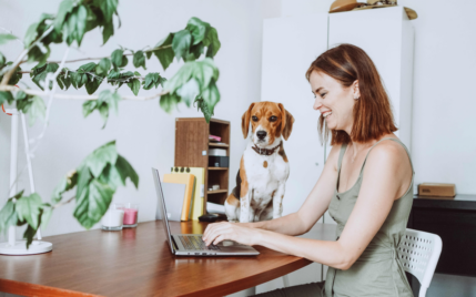 best work from home jobs.