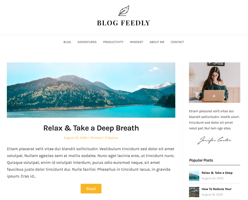 Blog Feedly minimal wordpress themes
