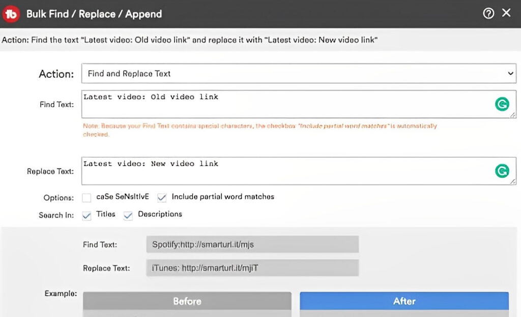 TubeBuddy Bulk Find_Replace_Append example