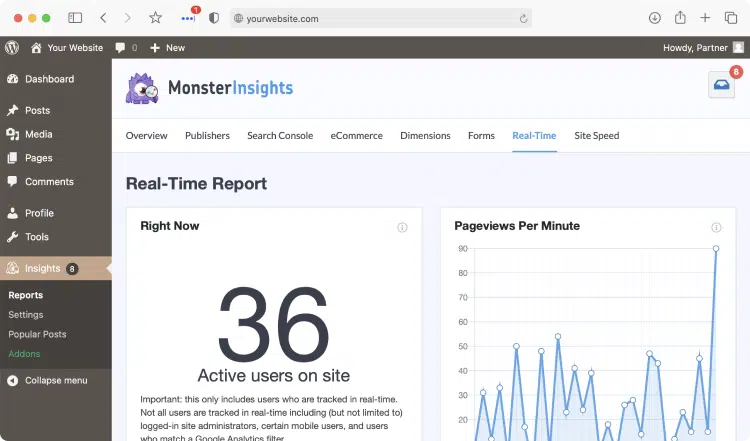 MonsterInsights review: Real time stats