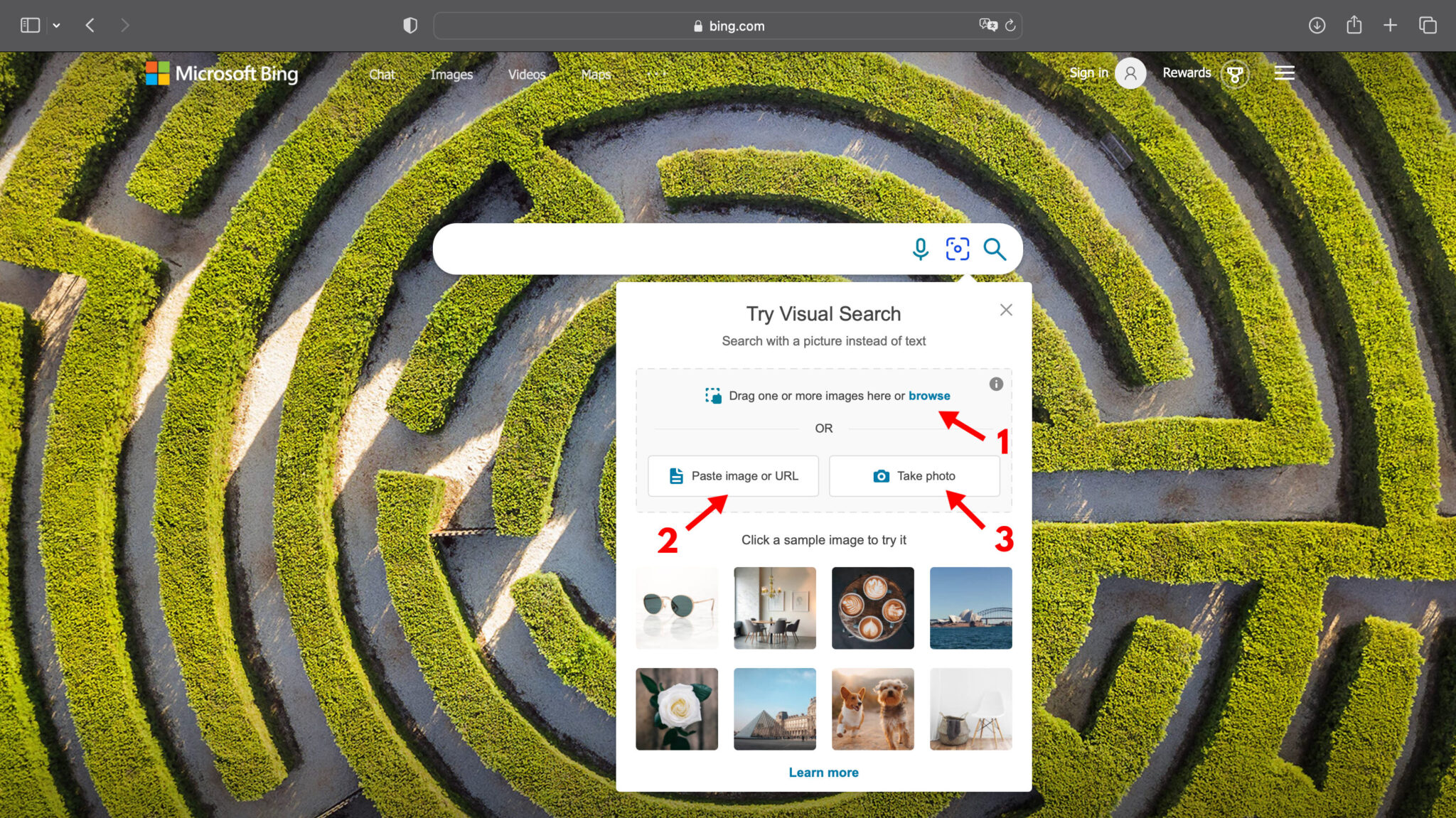 How to Reverse Image Search a Screenshot with