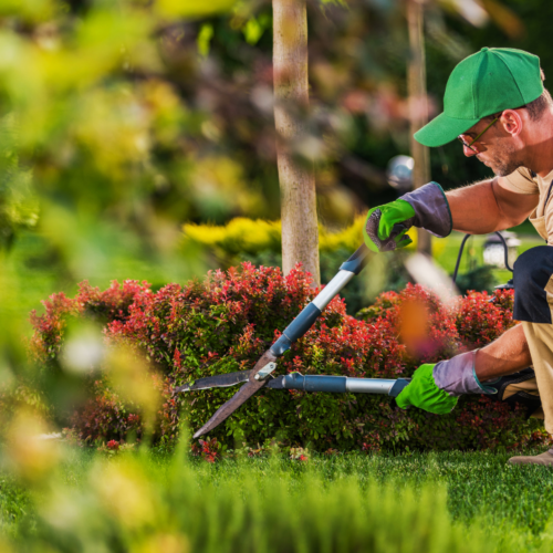 landscaping business names.