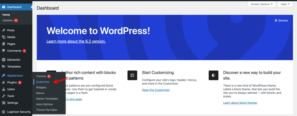 Wordpress-theme-customize