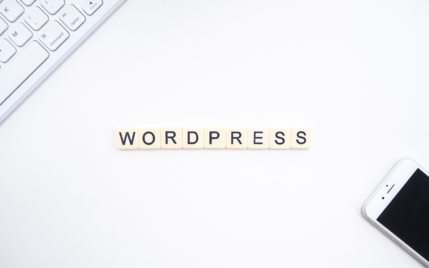 wordpress premium vs business.