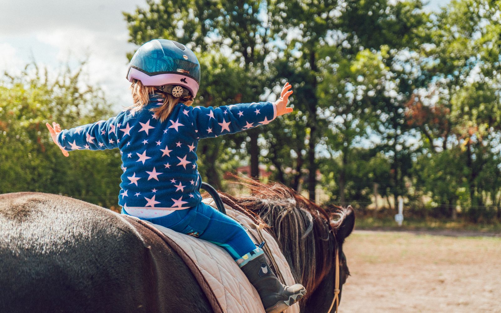 Caring Horse Therapy.
