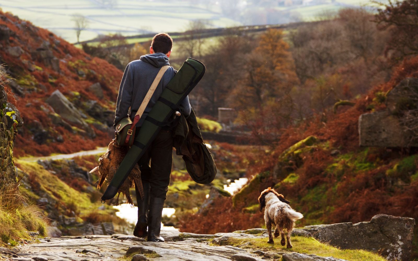 Names for Hunting Dog Training Camps