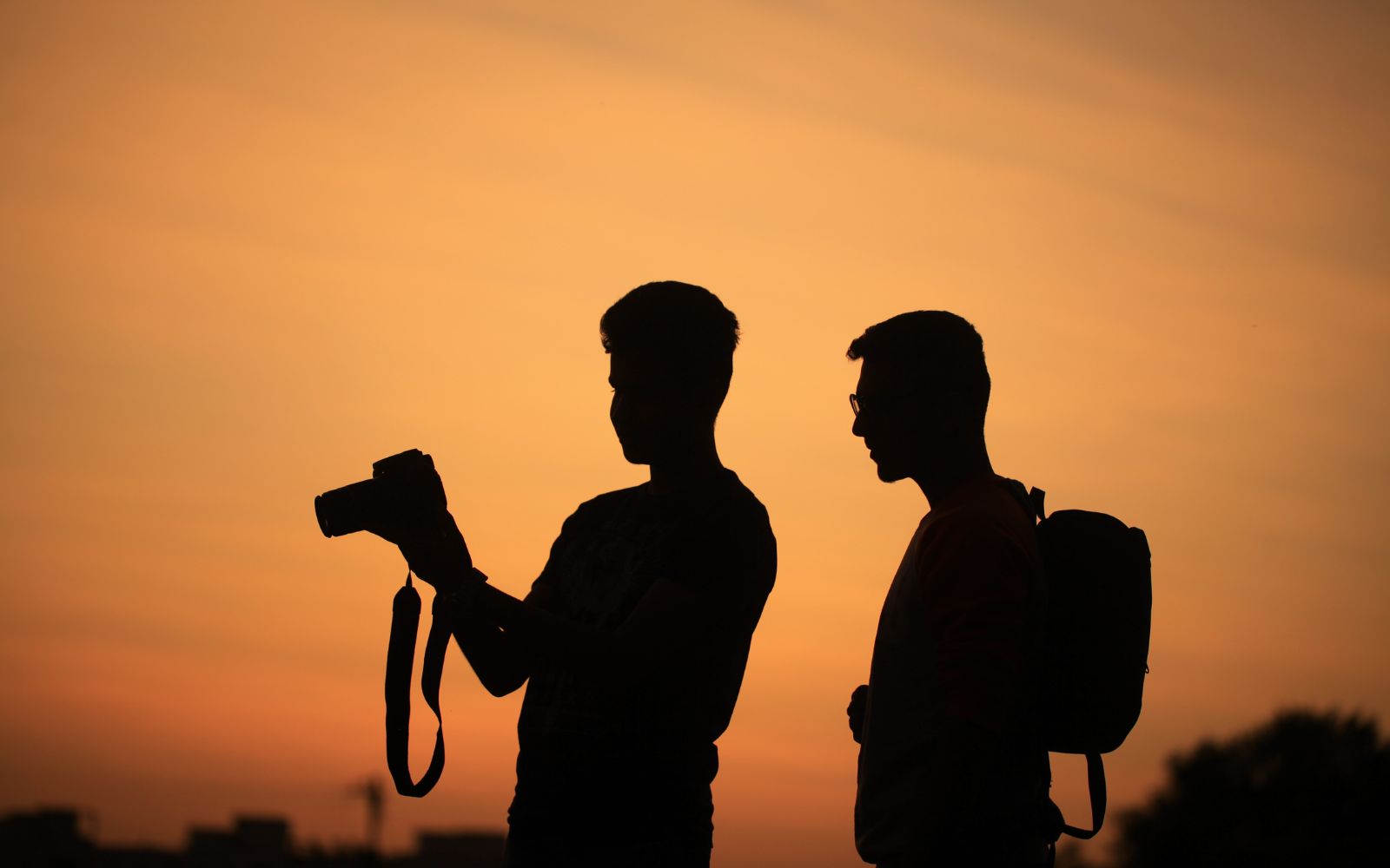 Names for Wildlife Photography Hunts