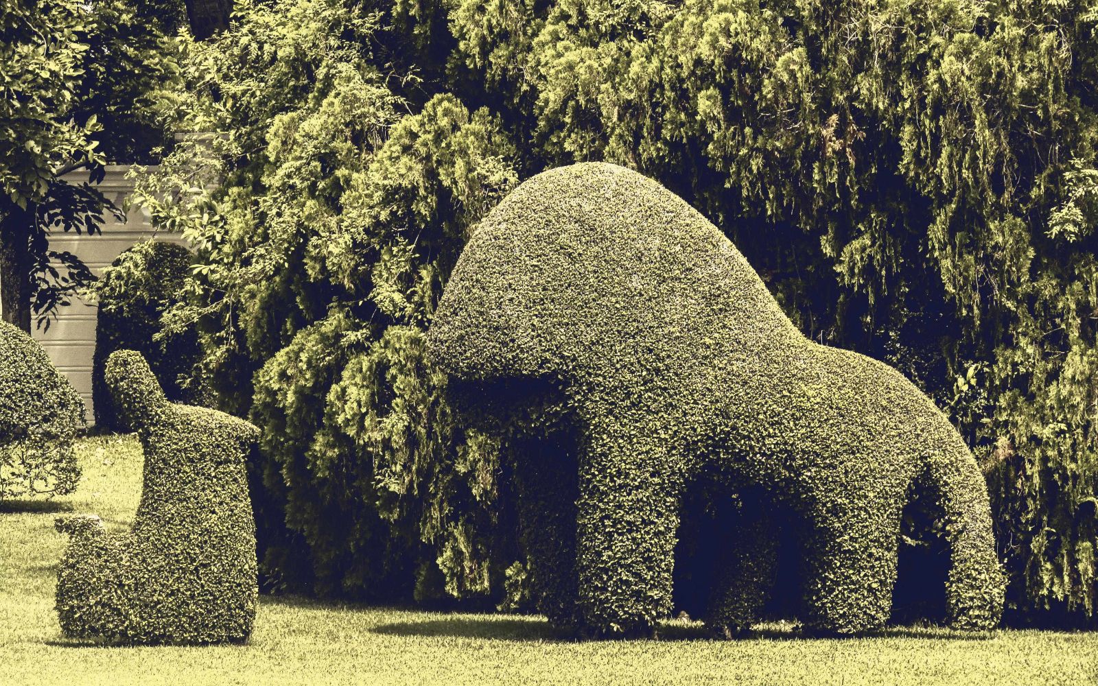 Top Names for Your Topiary Startup