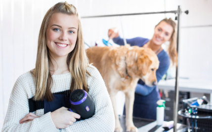 dog grooming business slogan ideas.