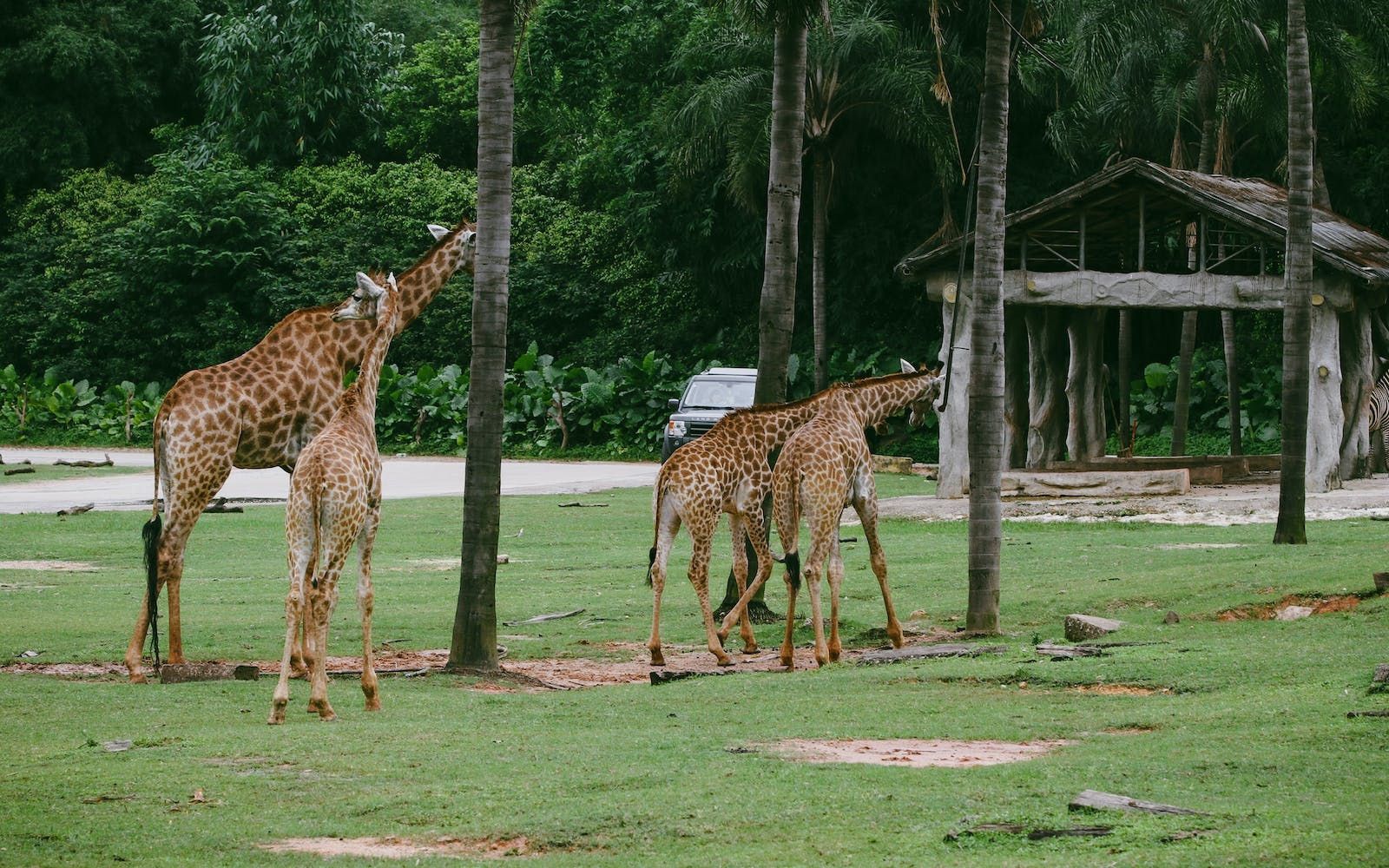 Zoo Slogan Ideas.